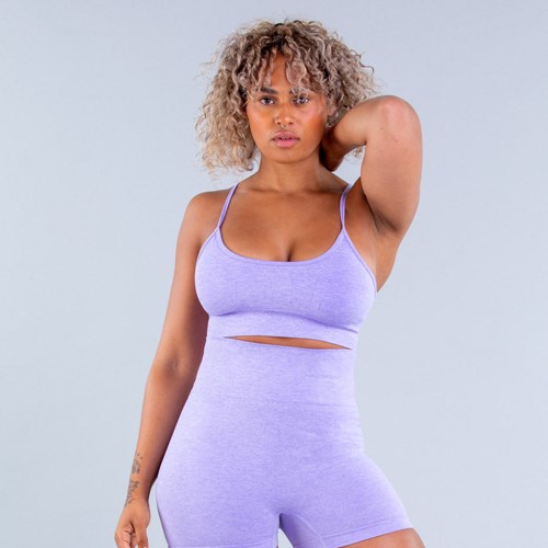 DFYNE Valkyrie Standard-Support Sports Bra Viola | BZMXCKH-24